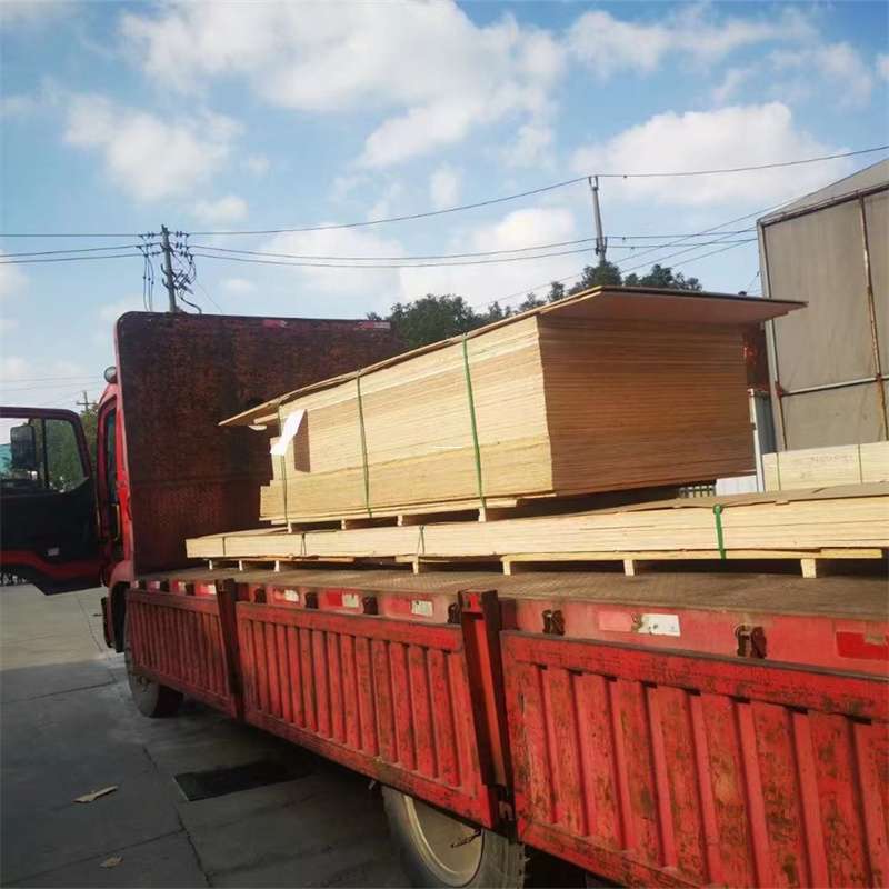 舟山到河北物流公司——一站式服务，让货运更便捷
